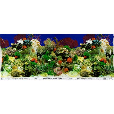 petco aquarium background|petco aquarium designs.